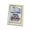Islamic Book Service (India)